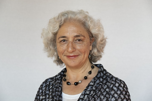 Senator Karimi (GroenLinks)