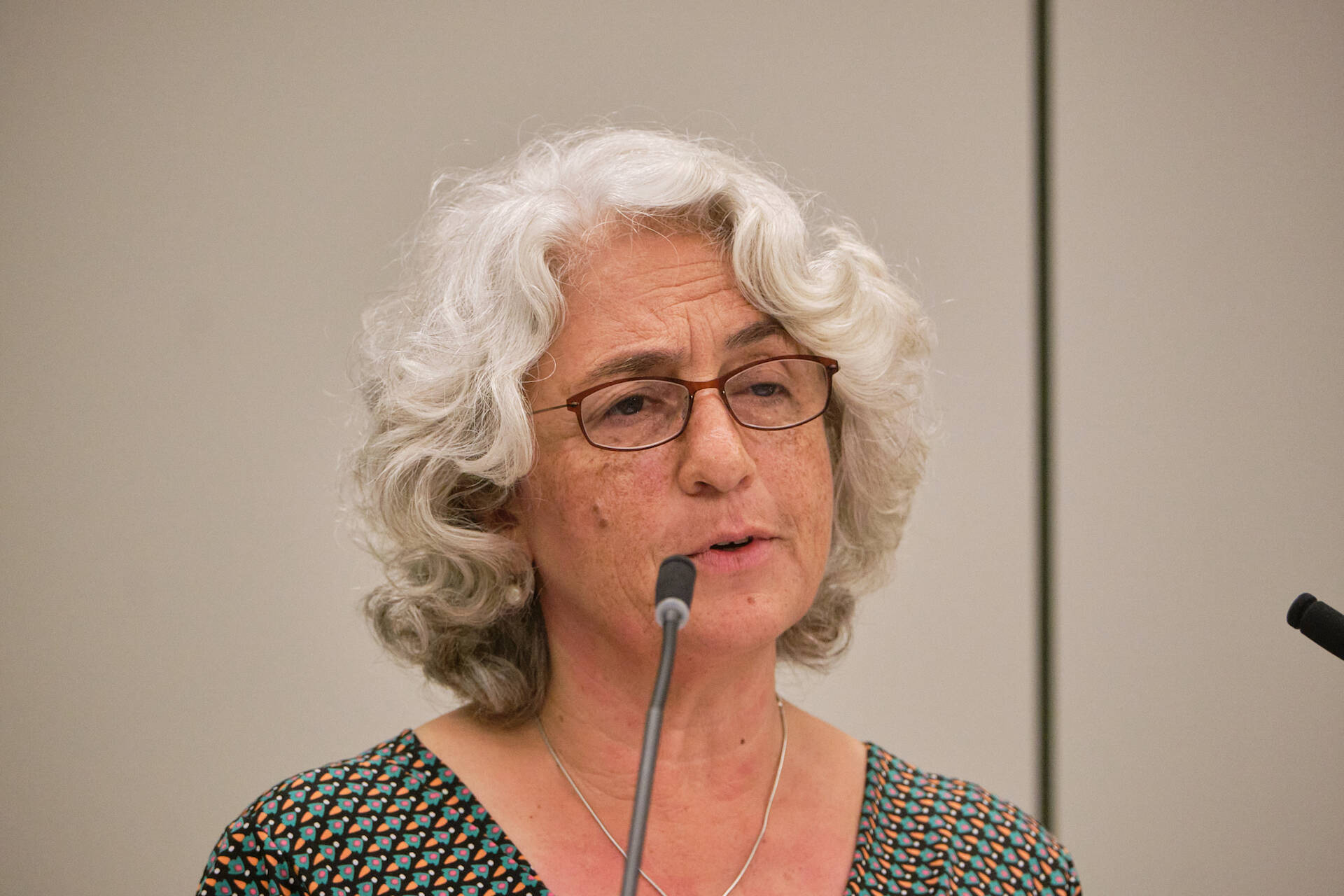 Senator Karimi (GroenLinks)