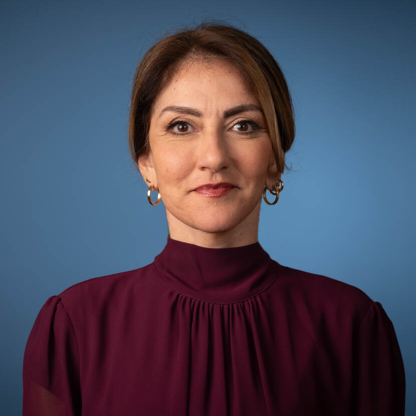 D.  Yeşilgöz-Zegerius  (VVD) 1