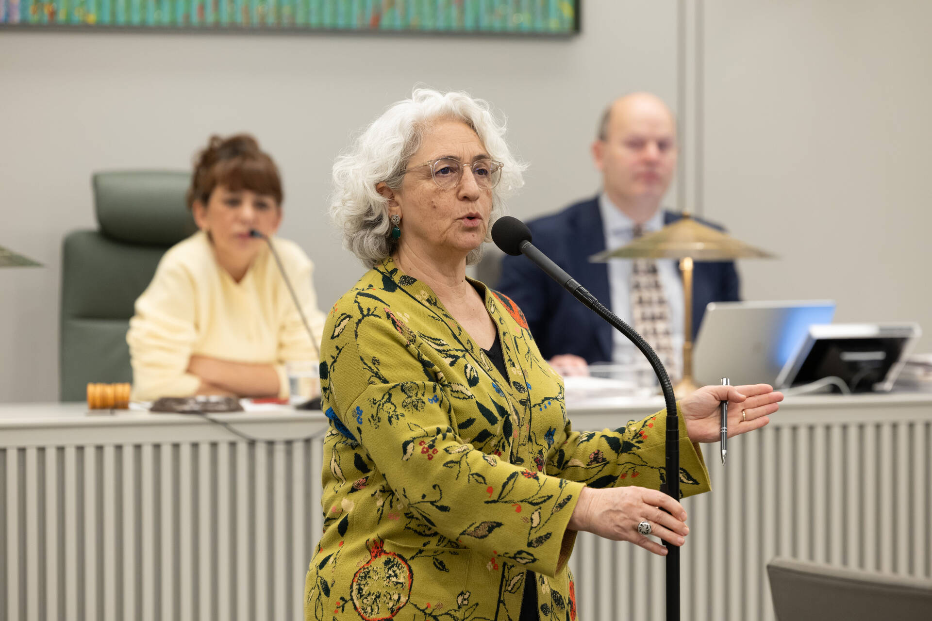 Senator Karimi (GroenLinks-PvdA)